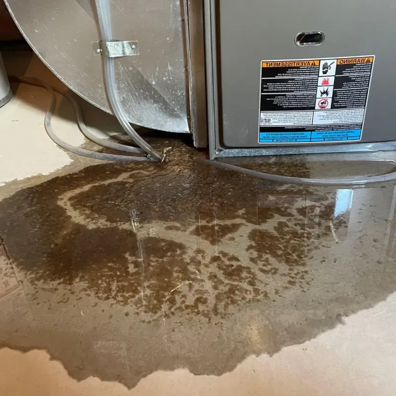 Pipe Burst and Leak Restoration in Portales, NM