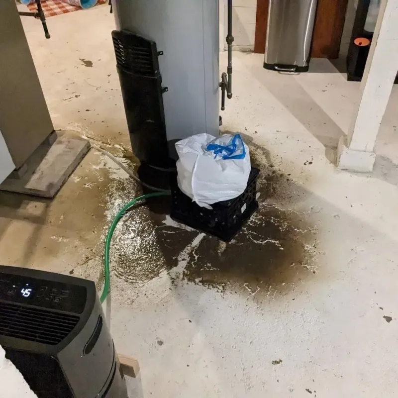 Sewage Backup Cleanup Service in Portales, NM